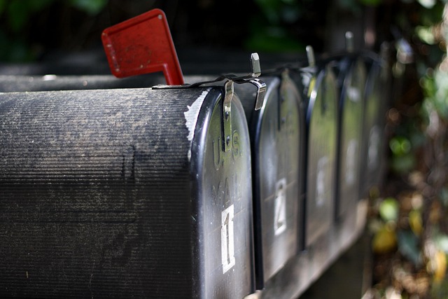 Bird food delivery box on doorstep