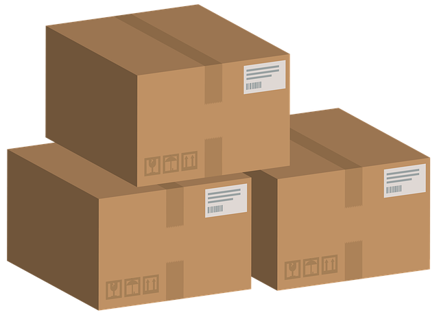 Bird food delivery boxes on doorstep