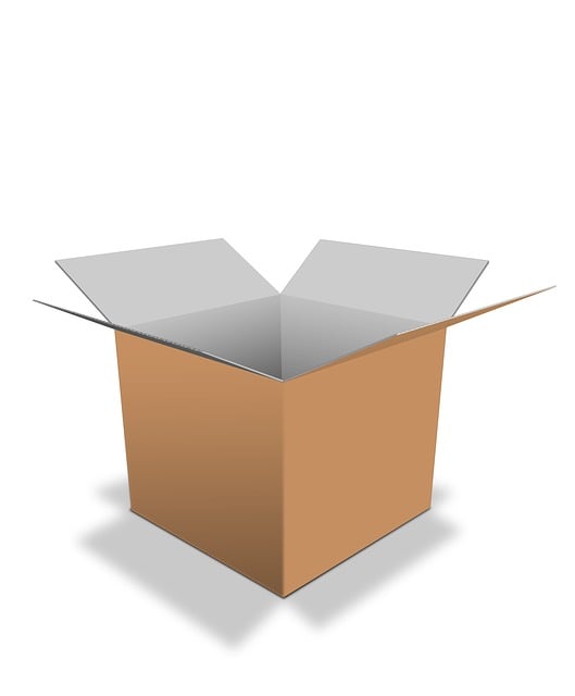 Bird food delivery with feathers on box