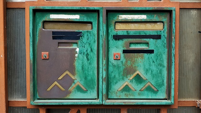 Bird food delivery with feathers on box