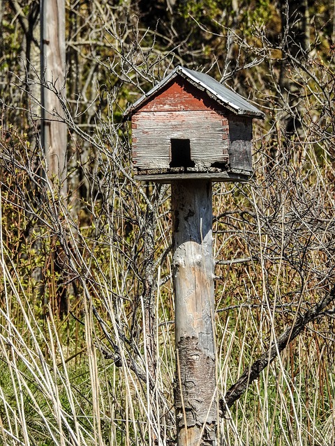 Bird food pellets in wooden feeder