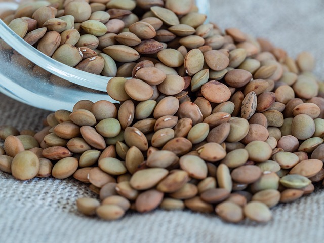 Bird food subscription with promotional offer