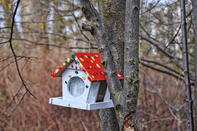 Bird nesting inside cozy wooden box