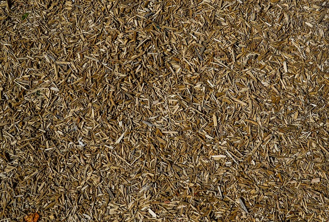Bird seed pile with natural textures