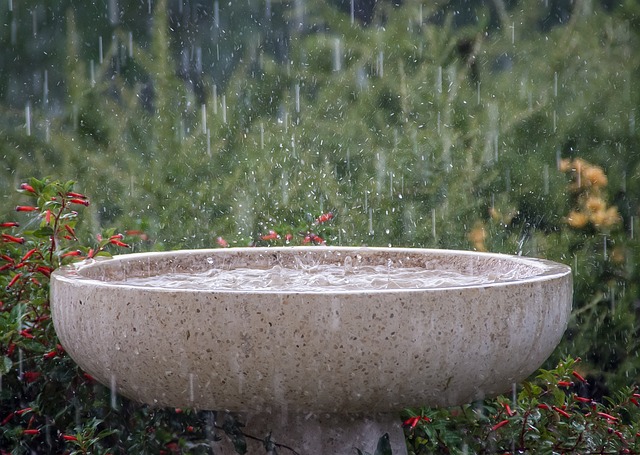 Birdbath with birds drinking water