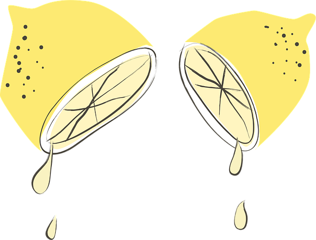Birds feeding on fruit slices outdoors