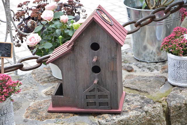Birds pecking seeds from ground feeder