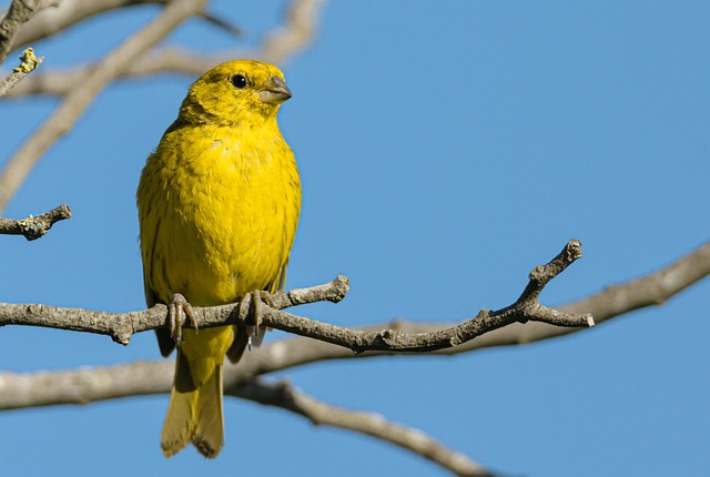 Birds perched around tidy seed-filled feeder