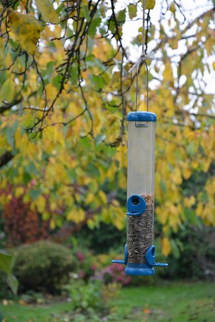 Budget-friendly squirrel-proof garden feeder