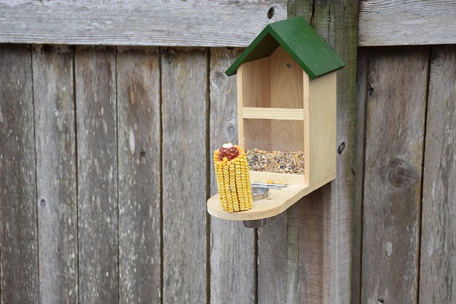 Bulk bird seed ready for feeders