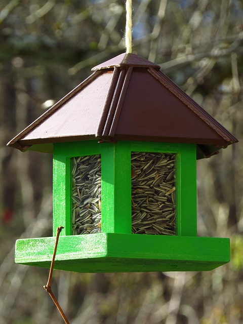 Bulk bird seed ready for feeders