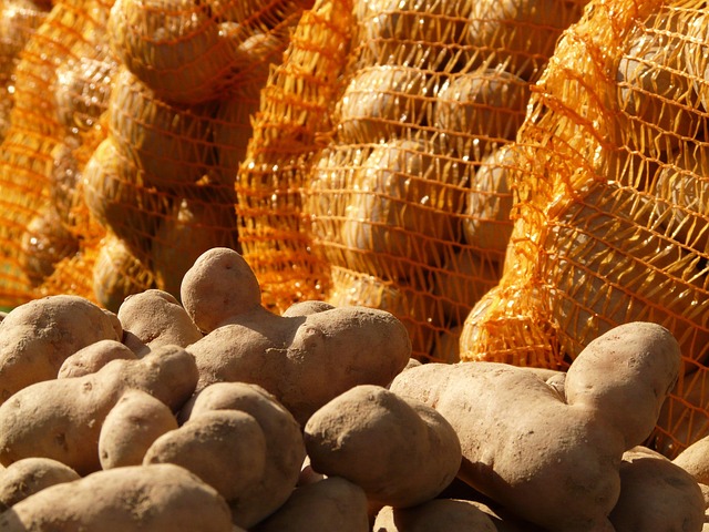 Bulk sacks of bird food stacked outdoors