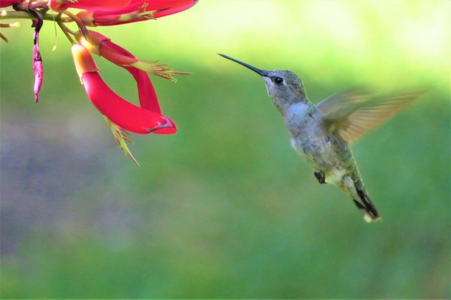 Careful feeding of baby bird outdoors