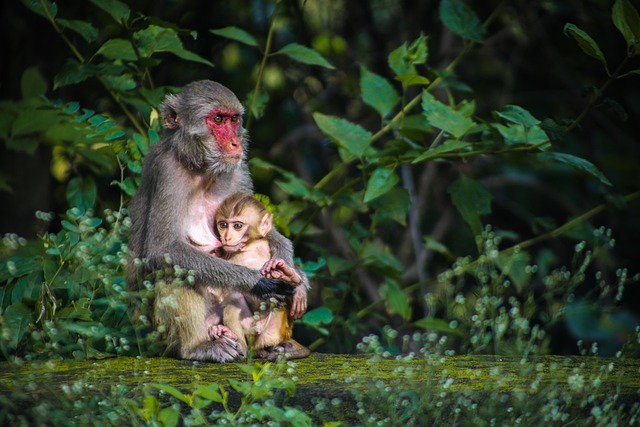 Careful feeding of baby bird outdoors