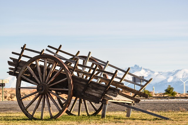 Checkout cart filled with bird