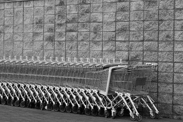 Checkout cart filled with bird