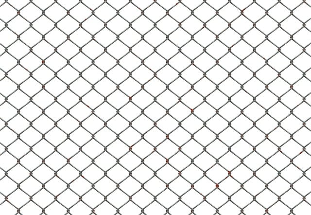 Clean sunflower hearts in metal mesh feeder