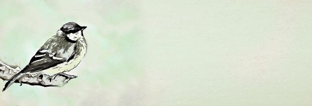 Click-and-collect bird food website banner