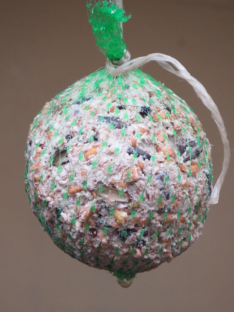 Close-up of filled fat ball holder