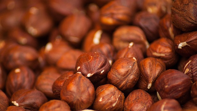 Close-up of shelled sunflower seeds