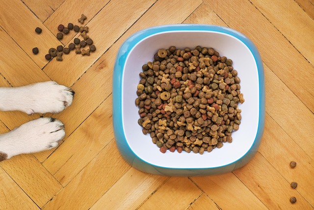 Colourful bird food mix in wooden bowl