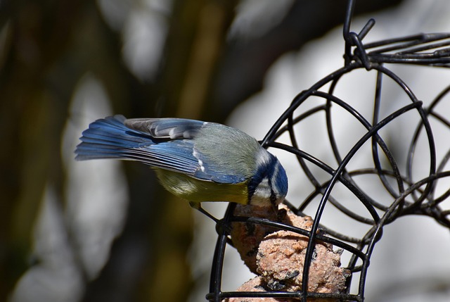 Compact feeder designed for clean feeding