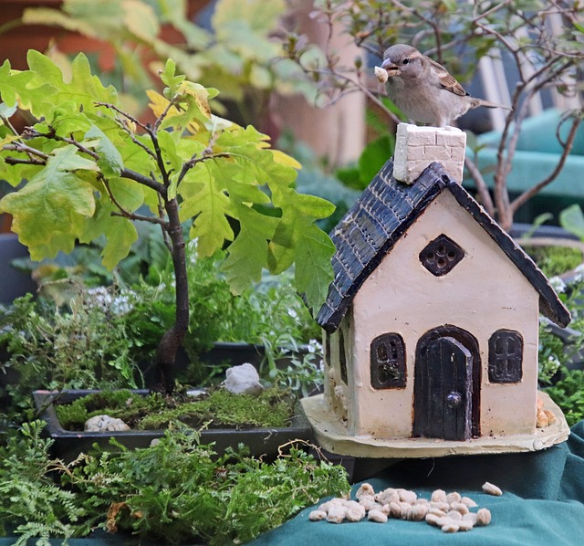 Covered ground feeder in shaded garden