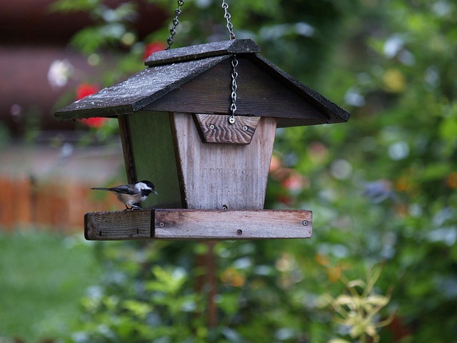 Decorative bird feeder standing in garden