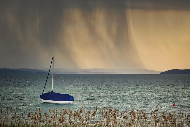 Durable feeder against wind and rain