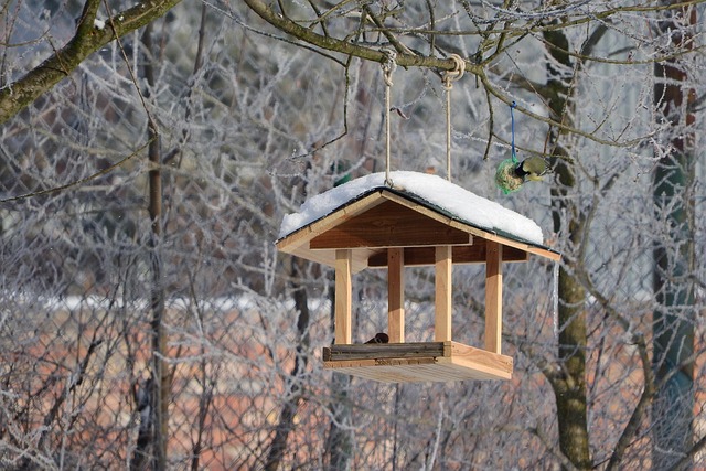 Elevated bird feeder with rat guard