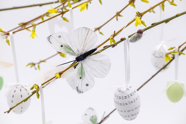 Fat ball bird feeder hanging from branch