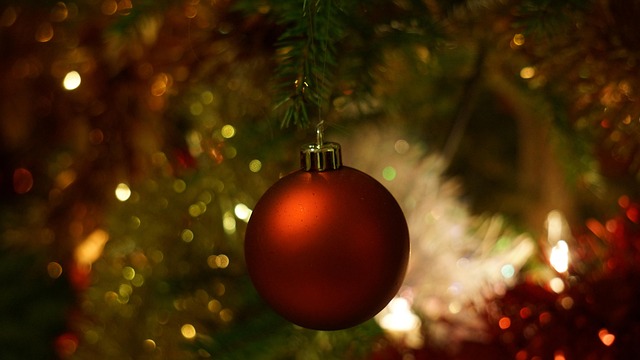 Fat balls hanging from tree branch