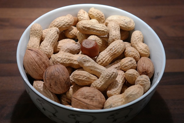 Feeder filled with mixed seeds and nuts