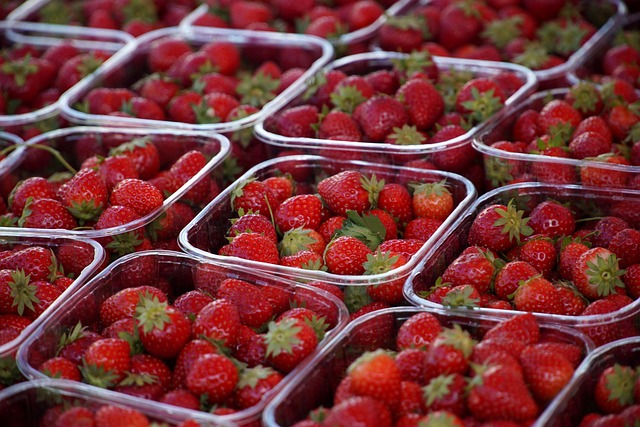 Fresh berries on garden bird feeder