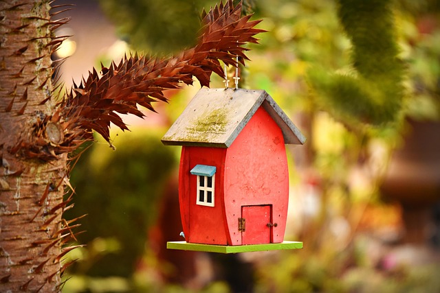 Garden bird box no longer in use