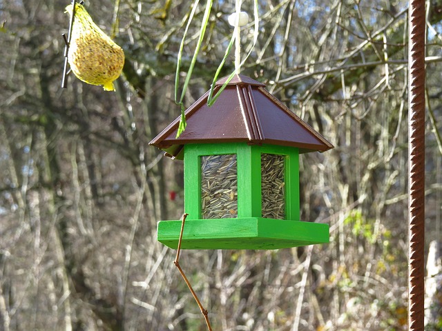 Garden bird feeder filled with sunflower hearts