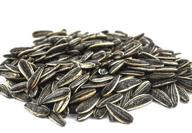 Garden birds eating premium seed mix