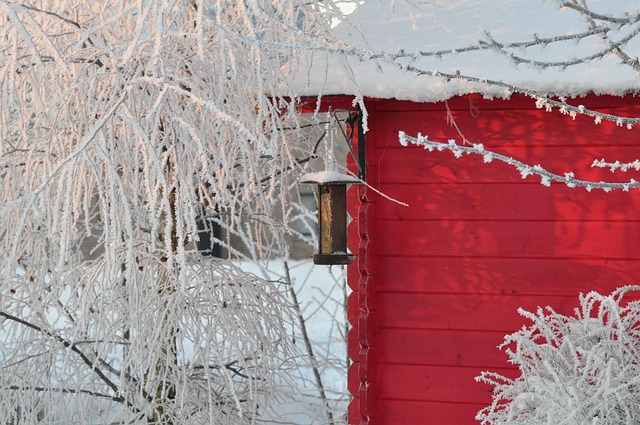 Garden feeder filled with robin-friendly mix