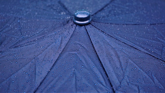 Ground-level feeder with wooden rain canopy
