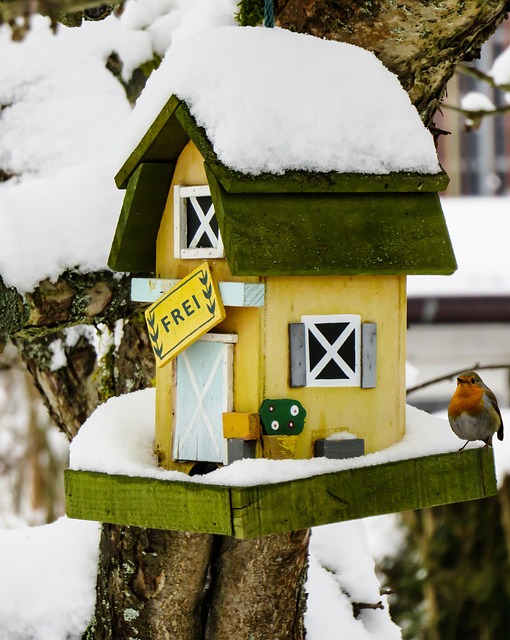 Group of finches feeding in garden