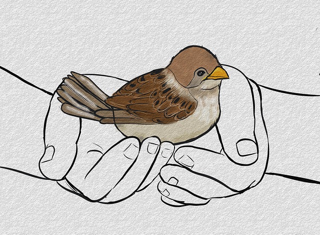 Hand holding fresh peanuts for birds