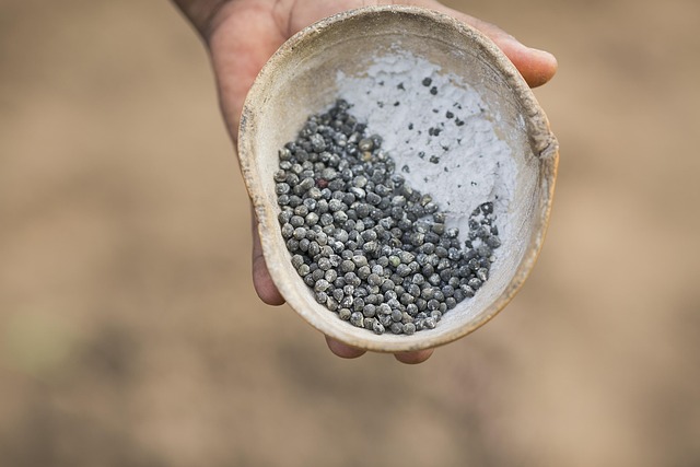 Hand holding top-rated bird seed mix