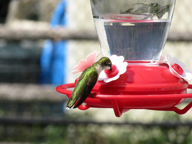 Hand refilling squirrel-proof garden feeder