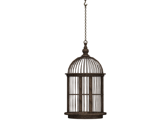 Hanging cage with live mealworms