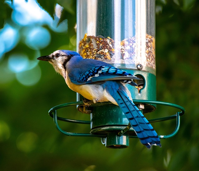 Hanging feeder with waste-catching tray