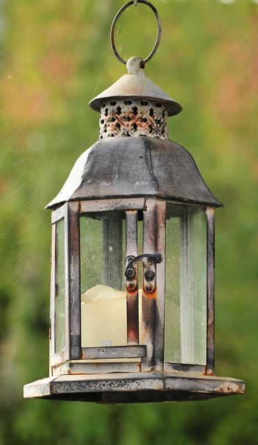 Hanging suet ball feeder in garden