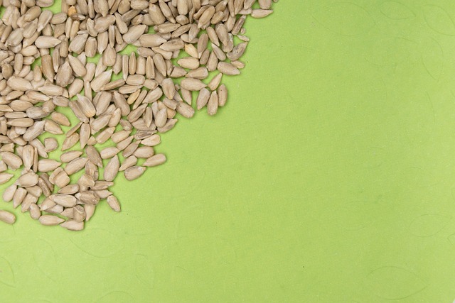 Heap of black oil sunflower seeds