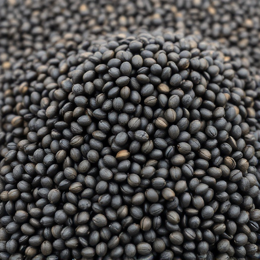Best Wild Bird Seed Choices for a Healthier Feed in the UK
