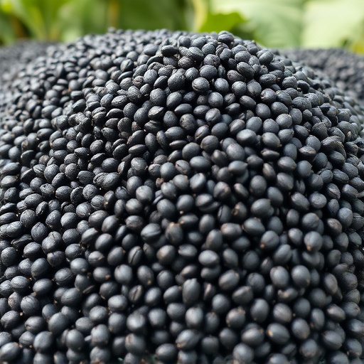 Heap of black oil sunflower seeds