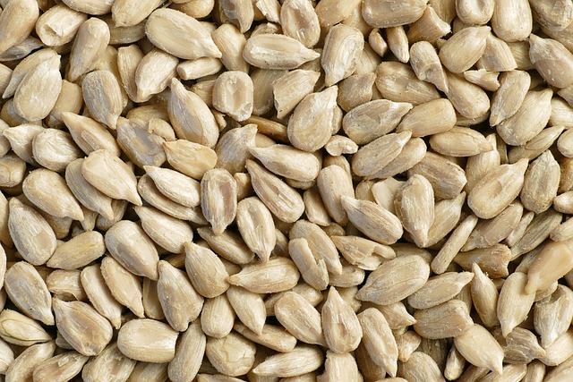 Heap of colourful wild bird seeds
